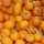 Pumpkins thumbnail