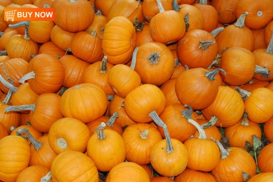 Pumpkins