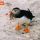 Atlantic Puffin with Herring 231 thumbnail