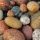 Beach Rocks thumbnail