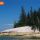 Ocean Scene thumbnail