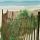 Ocean Scene with Beach Fence thumbnail