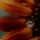 Sunflower-with-Lady-Bug-Bookmark thumbnail