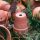 Terra-Cotta-Pots thumbnail