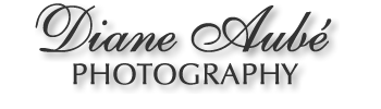 Logo Diane Aubé Photography