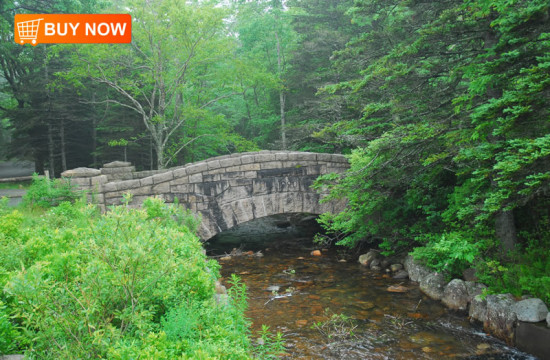 Acadia Bridge