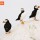 Atlantic Puffins 228 thumbnail