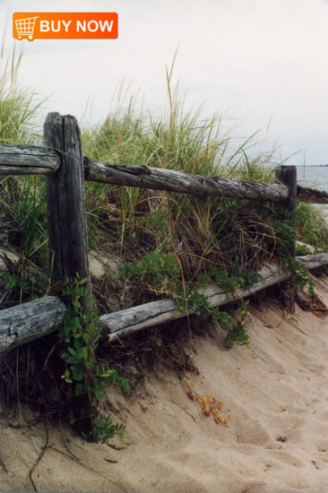 Beach Fence