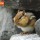 Chipmunk on Rocks thumbnail