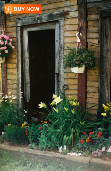 Doorway-with-Flowers