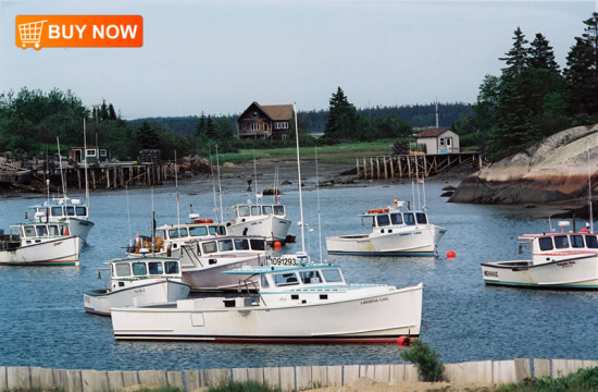 Lobster Boats in Harbor