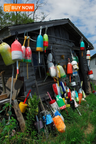 Lobster Pods on Shack