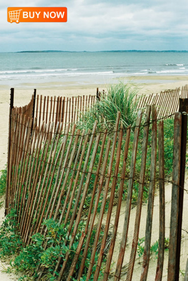 Ocean Scene with Beach Fence
