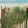 Ocean Scene with Beach Fence thumbnail