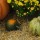 Pumpkins Bookmark thumbnail