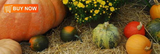 Pumpkins Bookmark