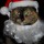 Santa Cat thumbnail