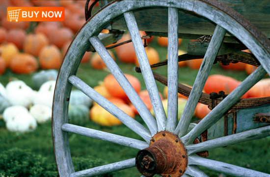 Wagon Wheel and Pumpkins