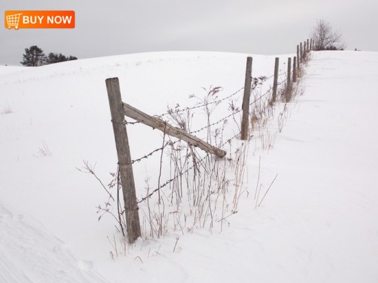 Fence in Winter