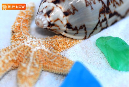 Sea Star Seaglass and Shell