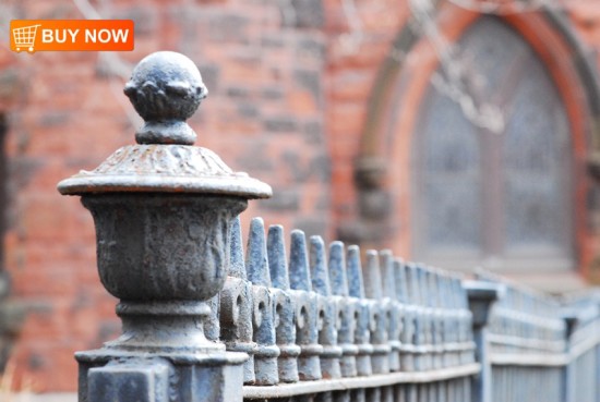 Wrought Iron Fence